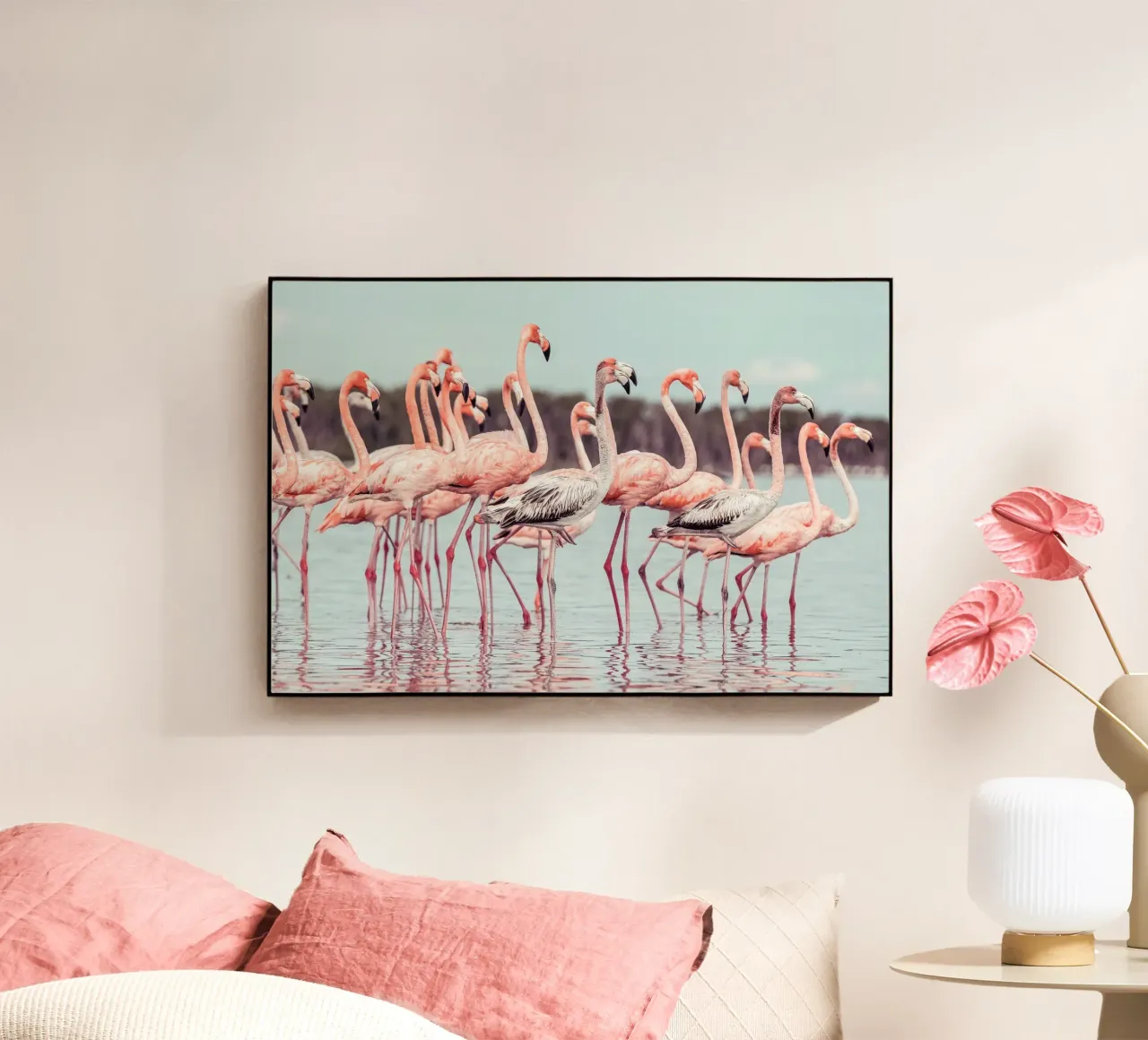 Flamingos plexiglass da stunningphotos