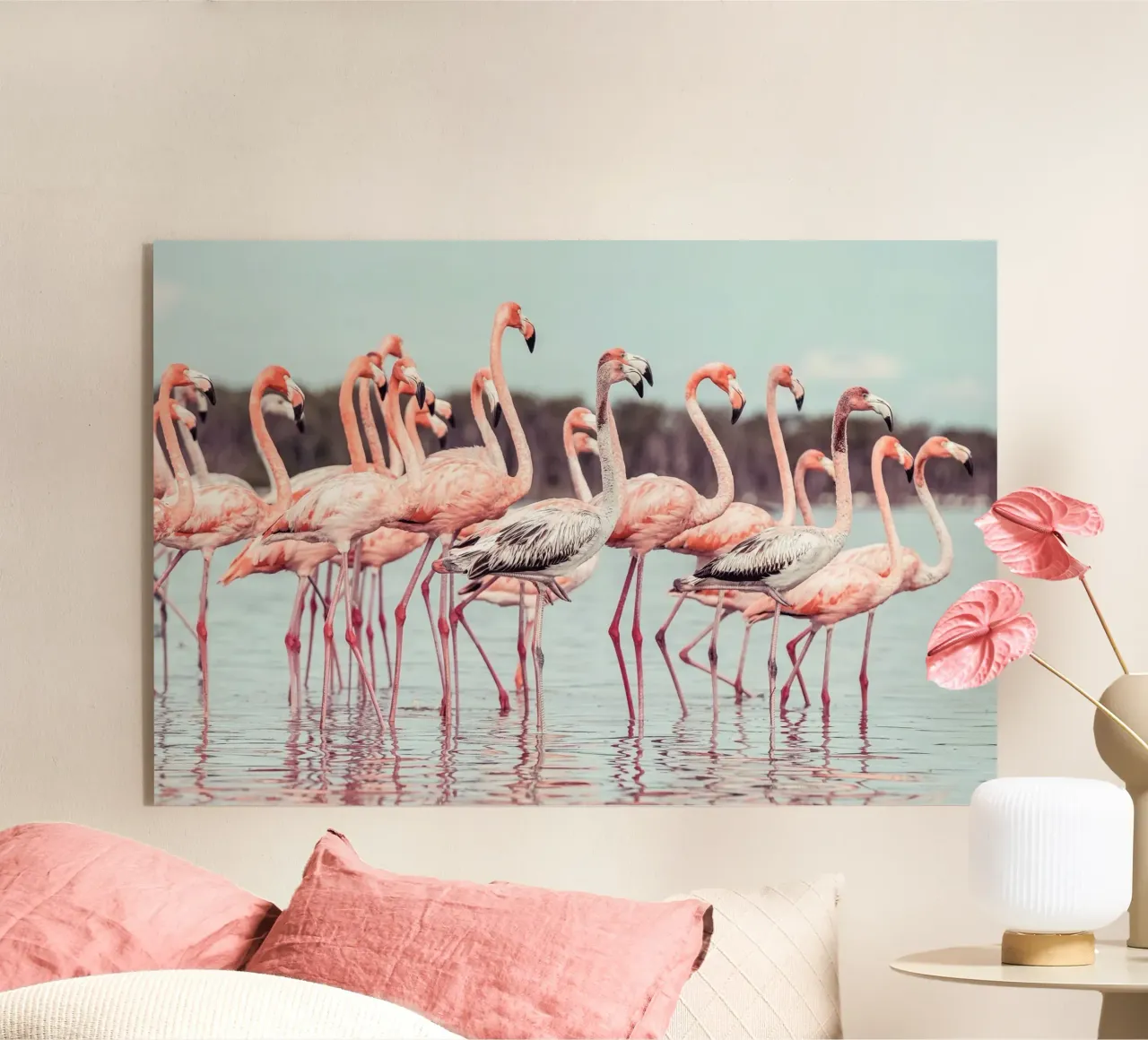 Flamingos plexiglass da stunningphotos