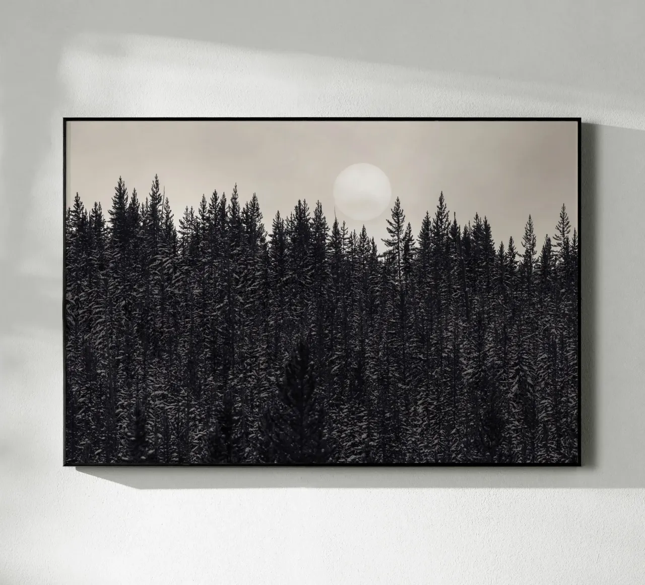 Forest with Full Moon plexiglass da bwphoto
