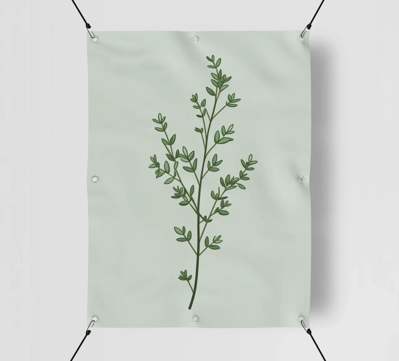 Piccolo ramo di timo con foglie minuscole telo in pvc da Botanical Gallery