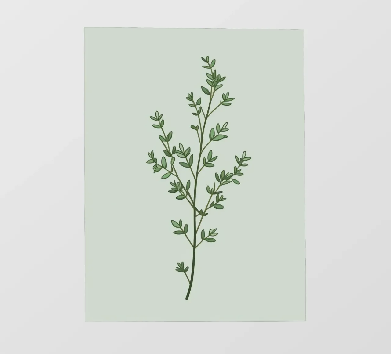 Piccolo ramo di timo con foglie minuscole telo in pvc da Botanical Gallery