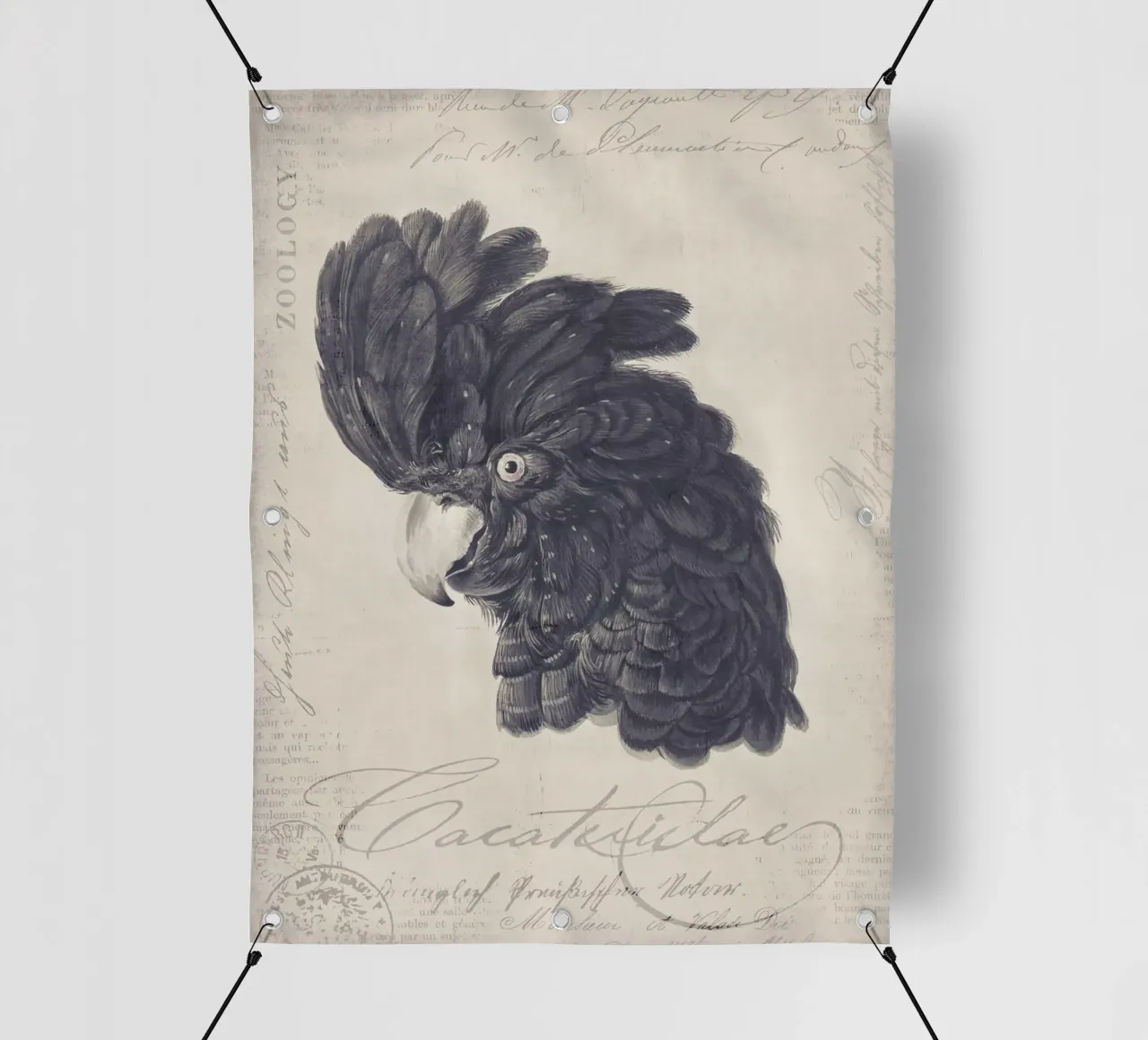 Ritratto di cacatua nero telo in pvc da Andrea Haase Vintage World