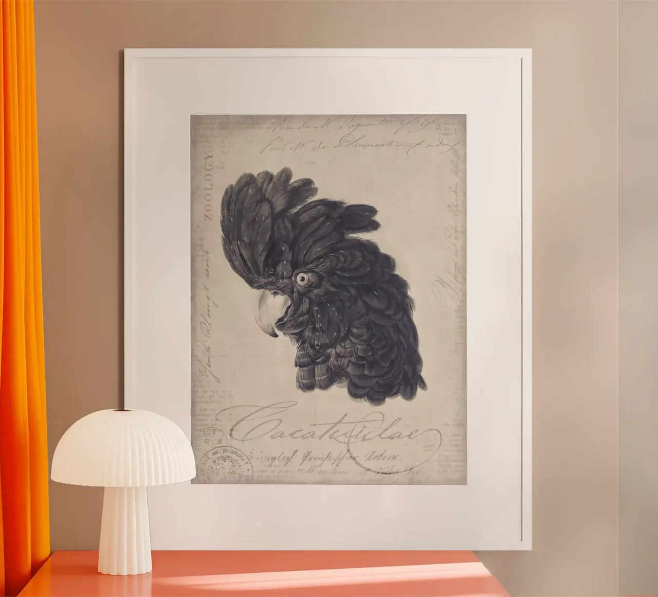 Ritratto di cacatua nero poster con telaio in legno da Andrea Haase Vintage World