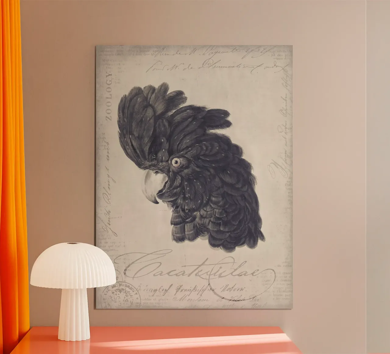 Ritratto di cacatua nero poster con telaio in legno da Andrea Haase Vintage World