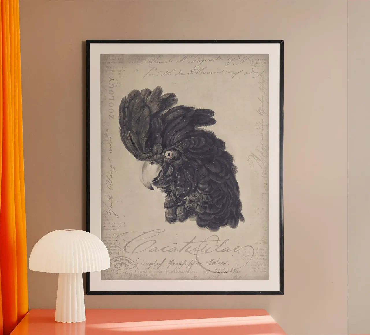 Ritratto di cacatua nero poster con telaio in legno da Andrea Haase Vintage World