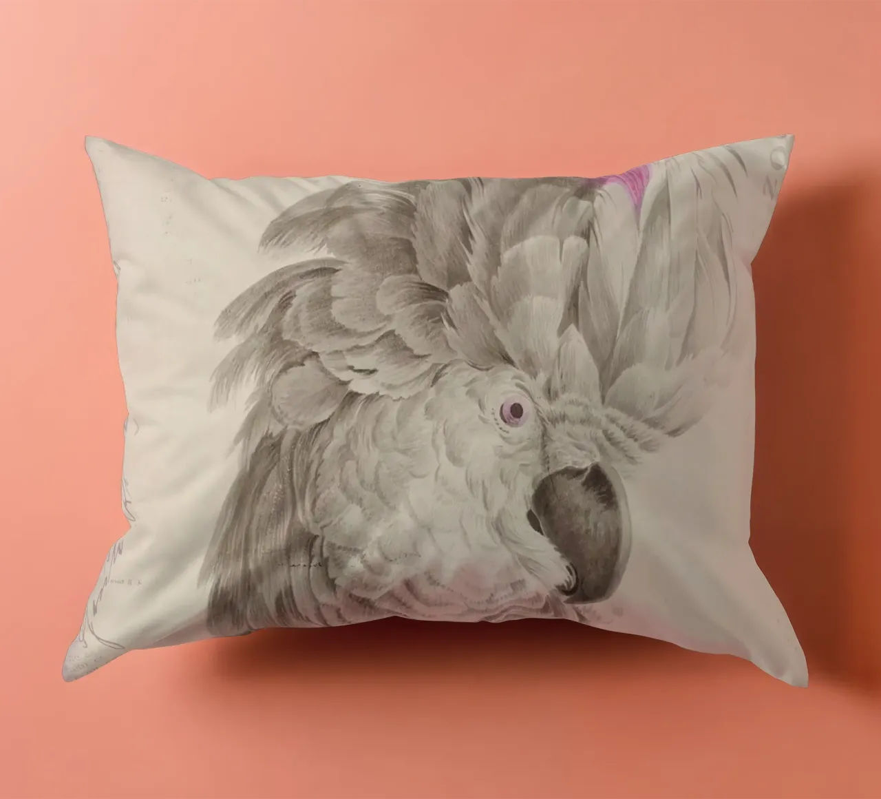 Ritratto di cacatua cuscino da Andrea Haase Vintage World