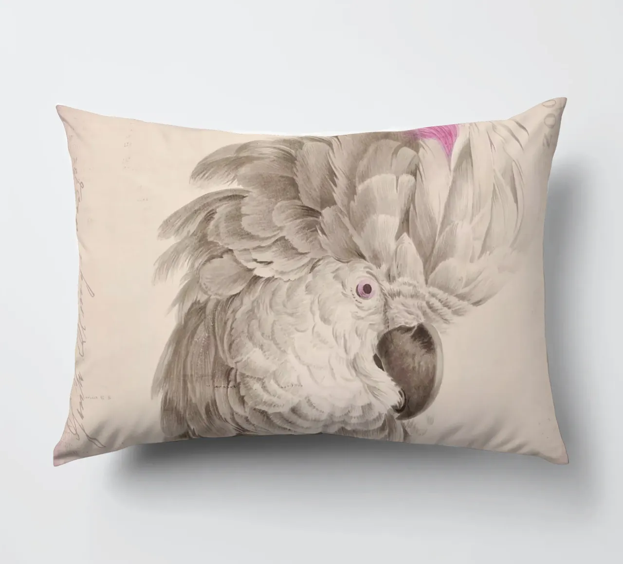 Ritratto di cacatua cuscino da Andrea Haase Vintage World