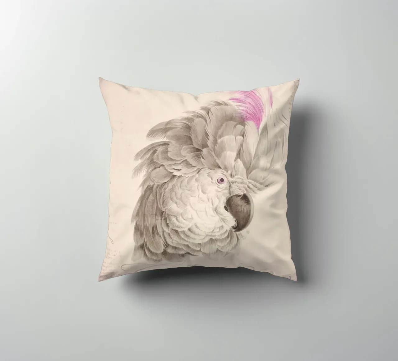 Ritratto di cacatua cuscino da Andrea Haase Vintage World