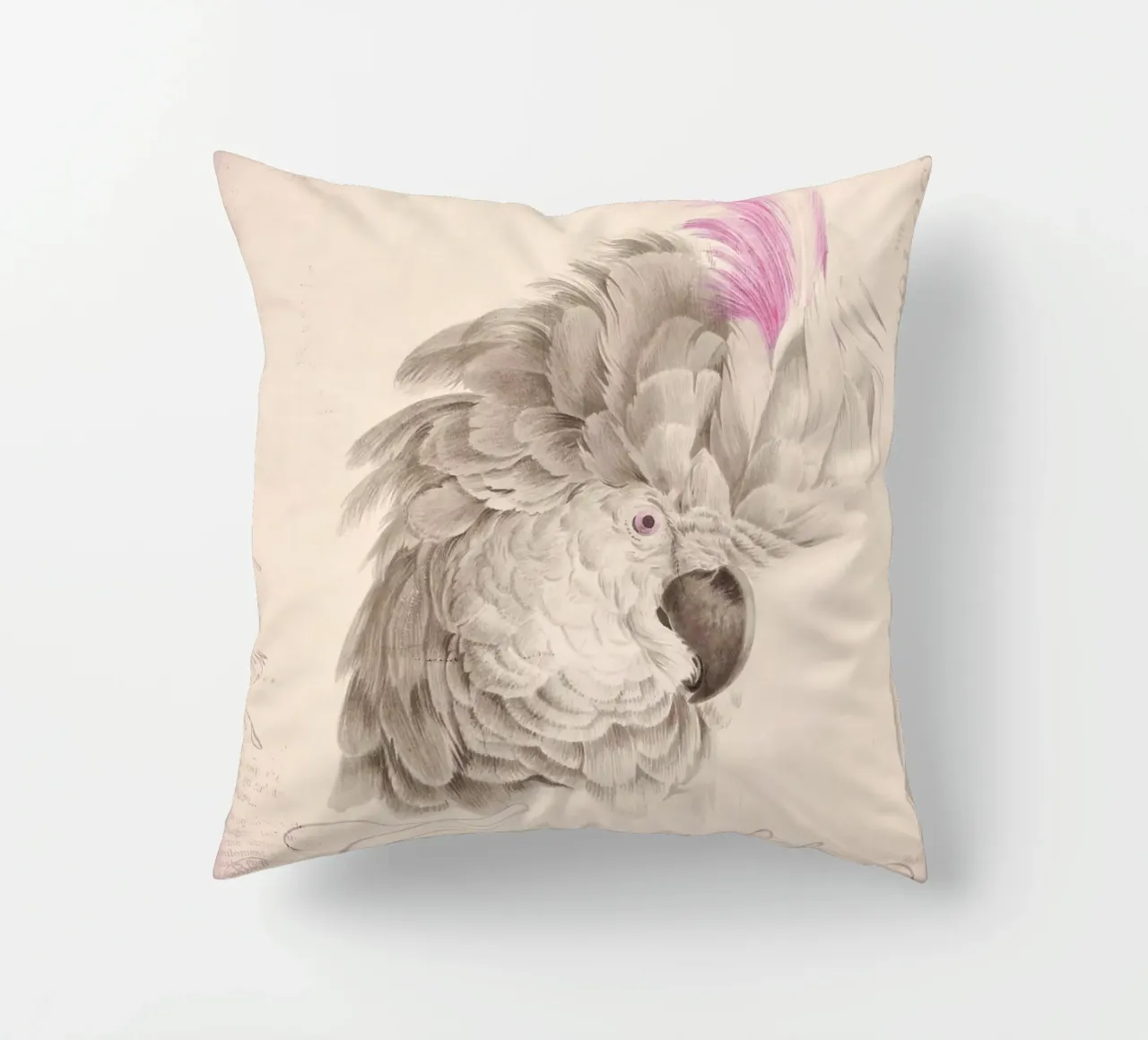 Ritratto di cacatua cuscino da Andrea Haase Vintage World