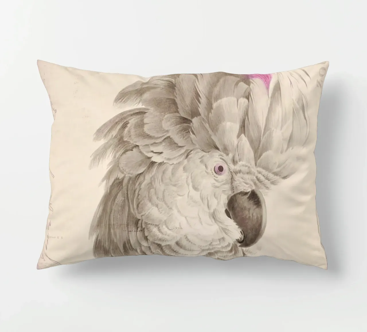 Ritratto di cacatua cuscino da Andrea Haase Vintage World