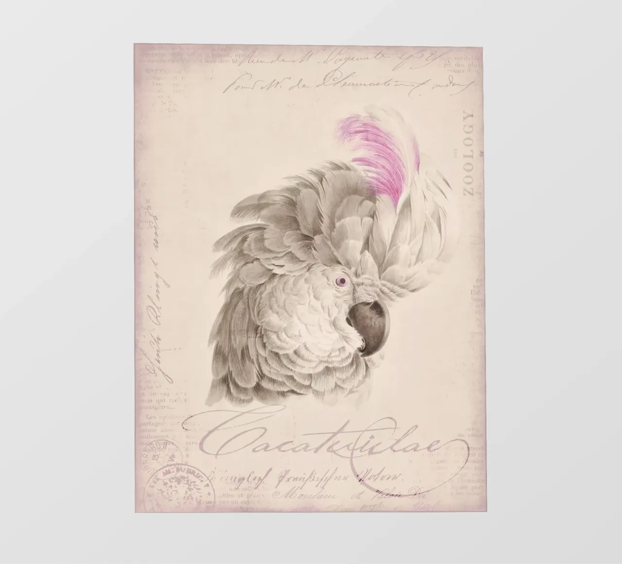 Ritratto di cacatua pellicola backlit da Andrea Haase Vintage World