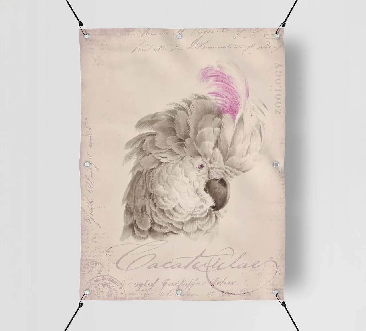 Ritratto di cacatua telo in pvc da Andrea Haase Vintage World