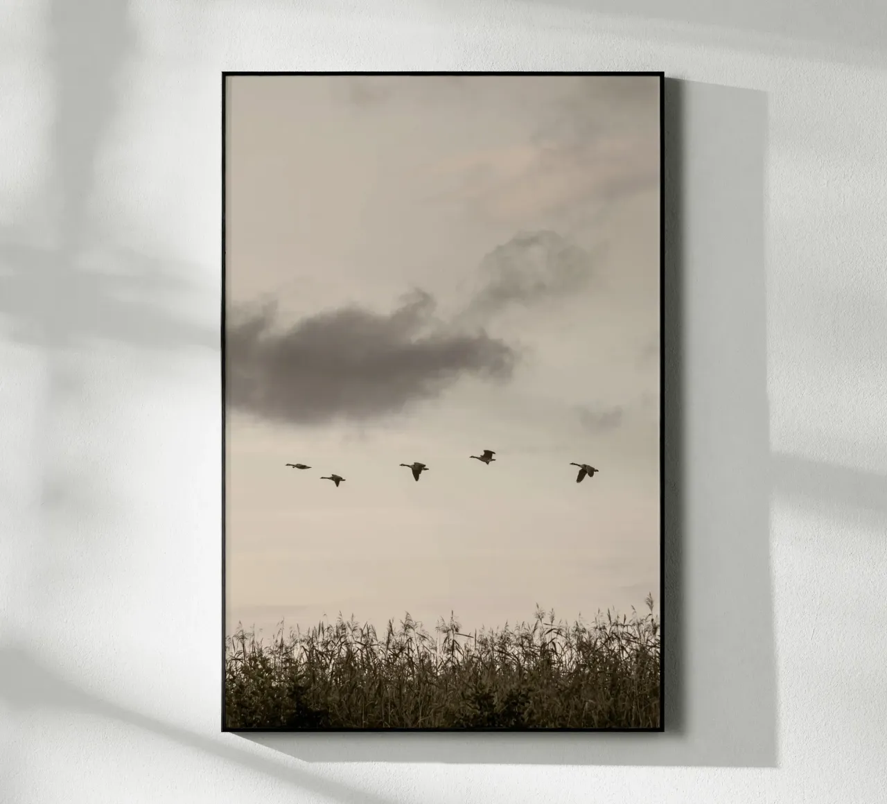 Flying plexiglass da Mareike Böhmer Photography 2