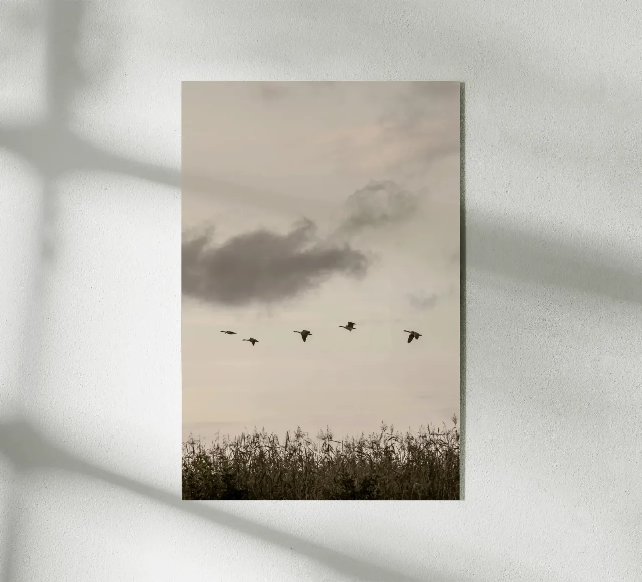 Flying plexiglass da Mareike Böhmer Photography 2