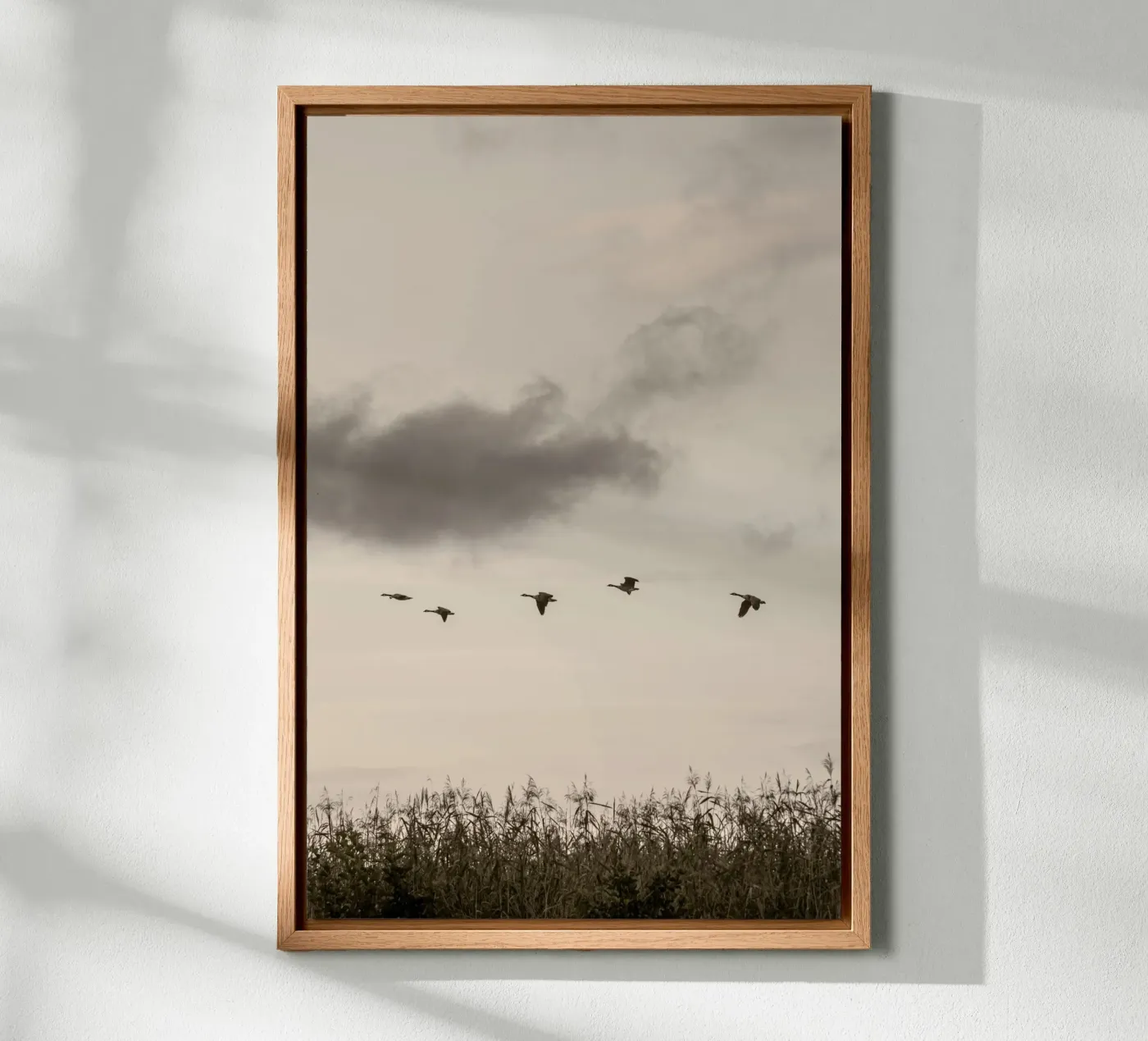 Flying alluminio dibond da Mareike Böhmer Photography