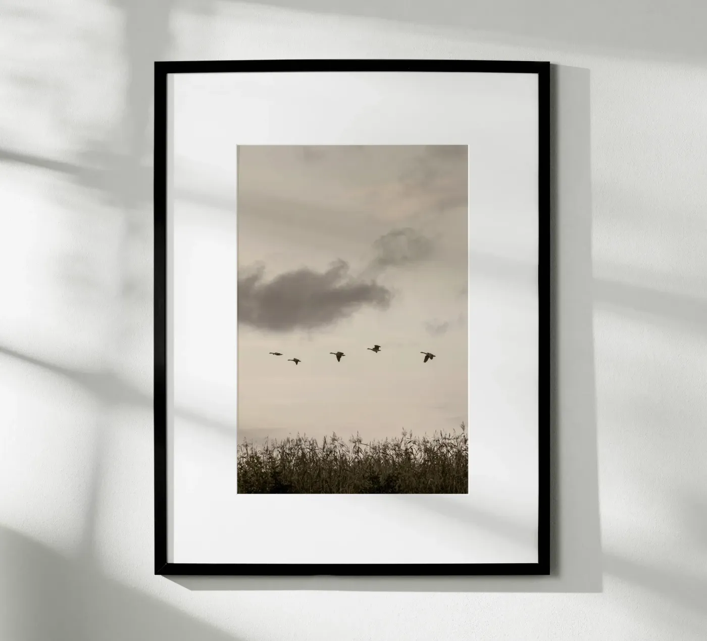 Flying poster de Mareike Böhmer Photography