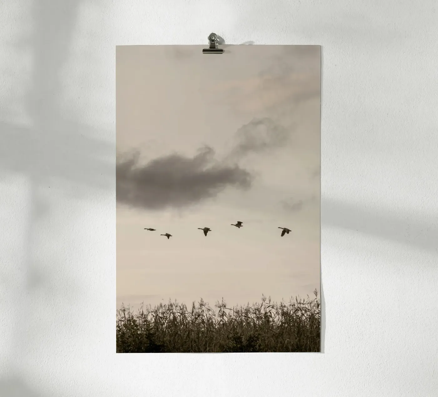 Flying poster de Mareike Böhmer Photography