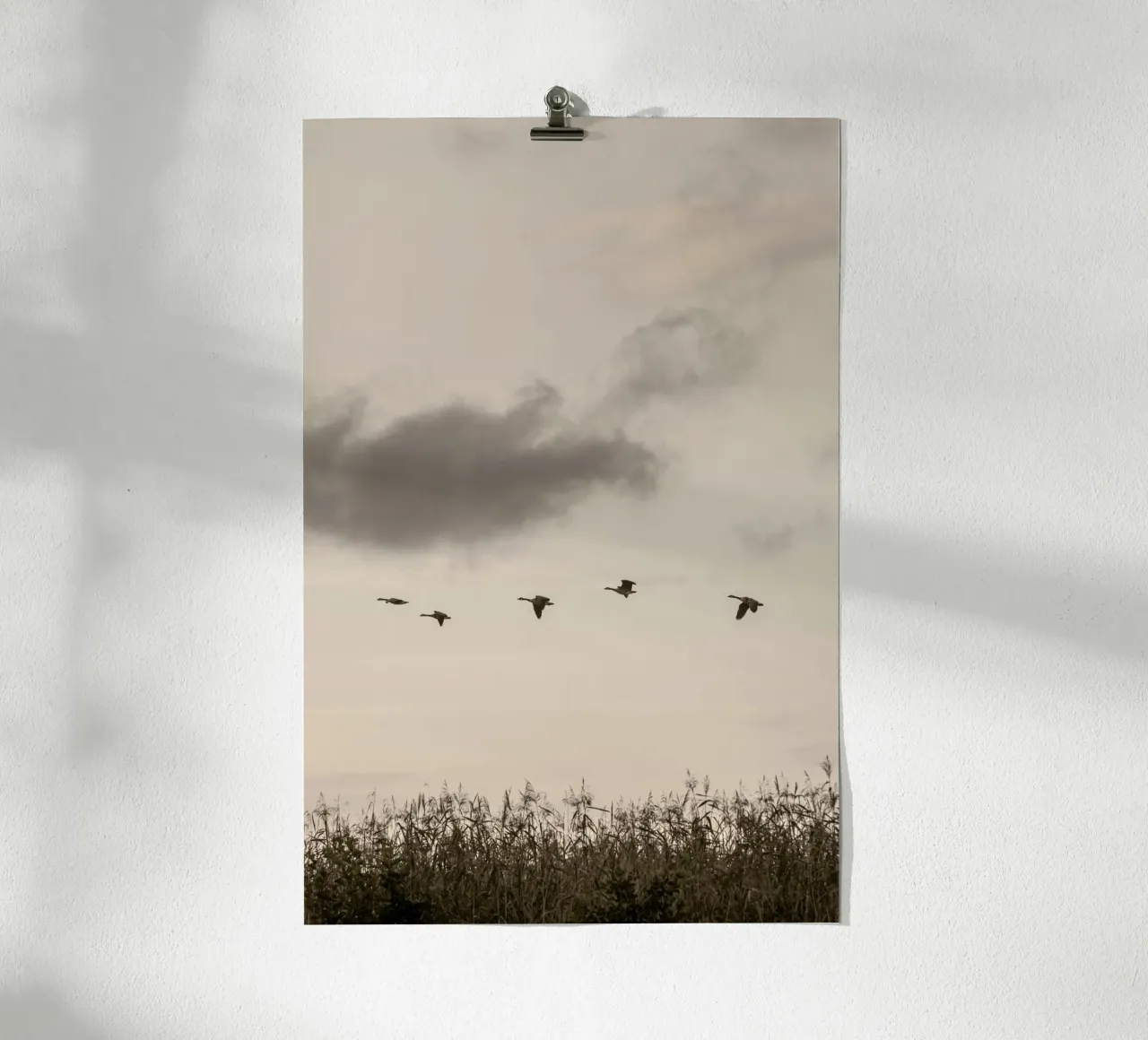 Flying poster da Mareike Böhmer Photography 2