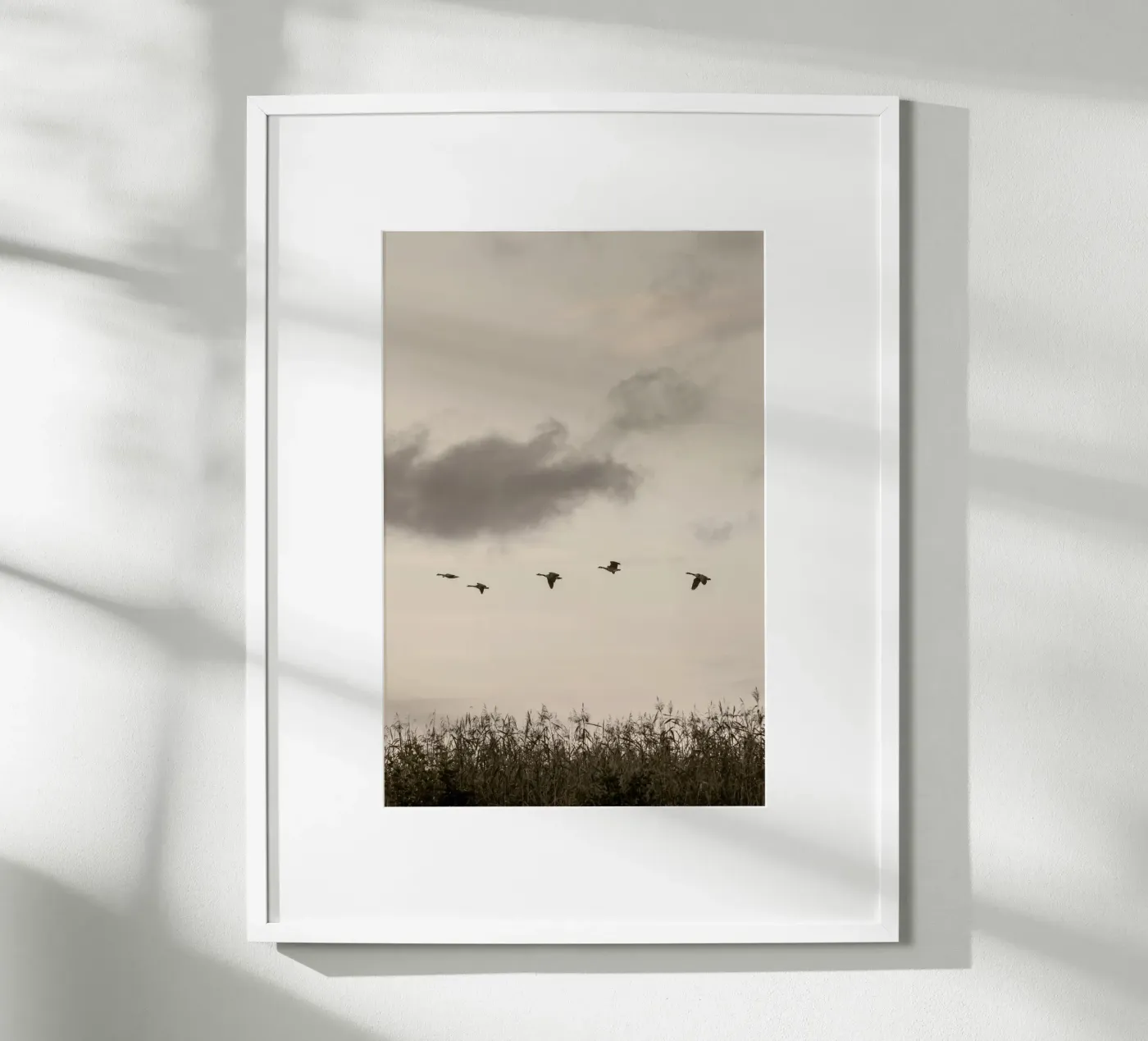 Flying poster de Mareike Böhmer Photography