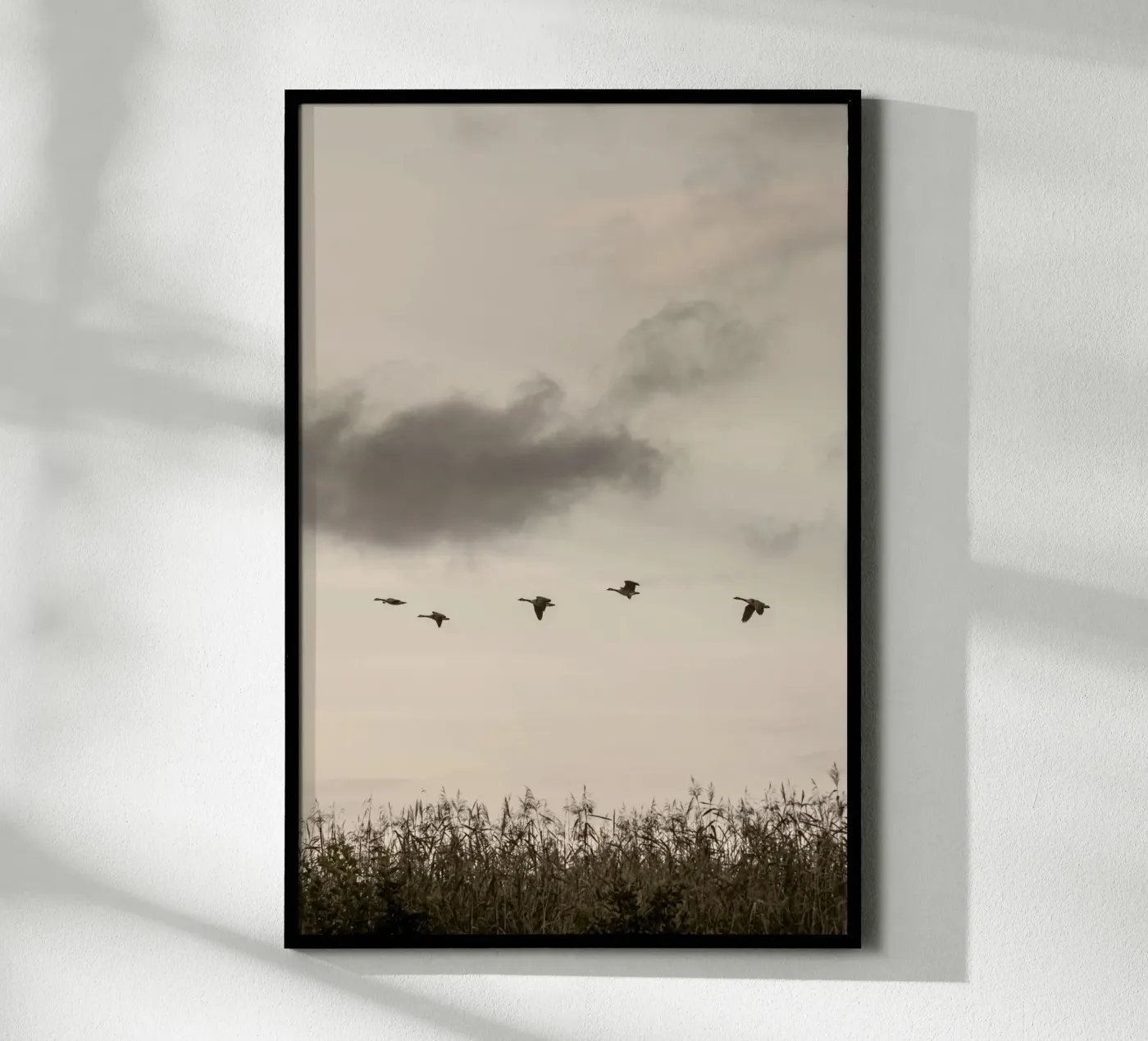 Flying poster de Mareike Böhmer Photography