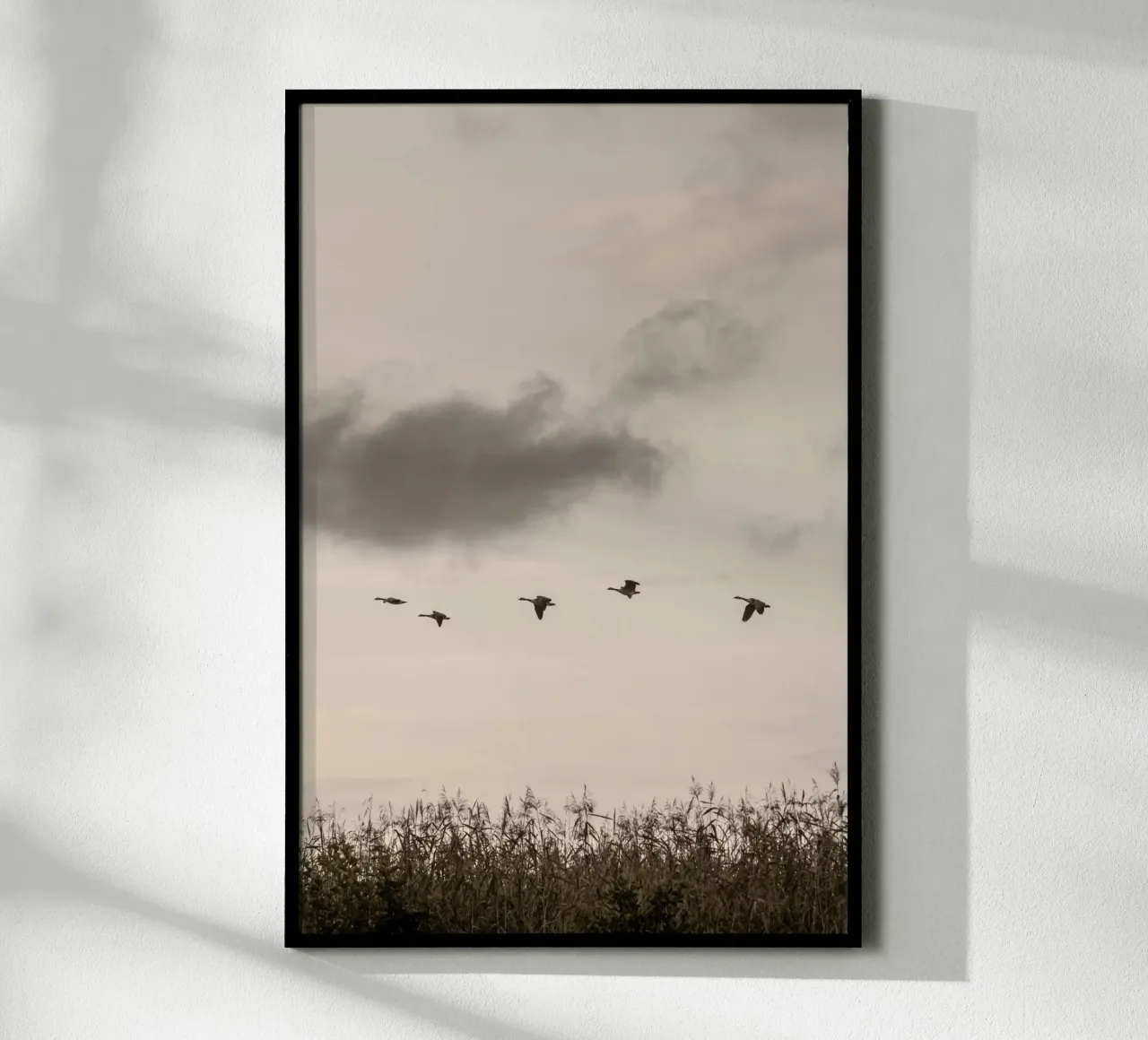 Flying poster da Mareike Böhmer Photography 2