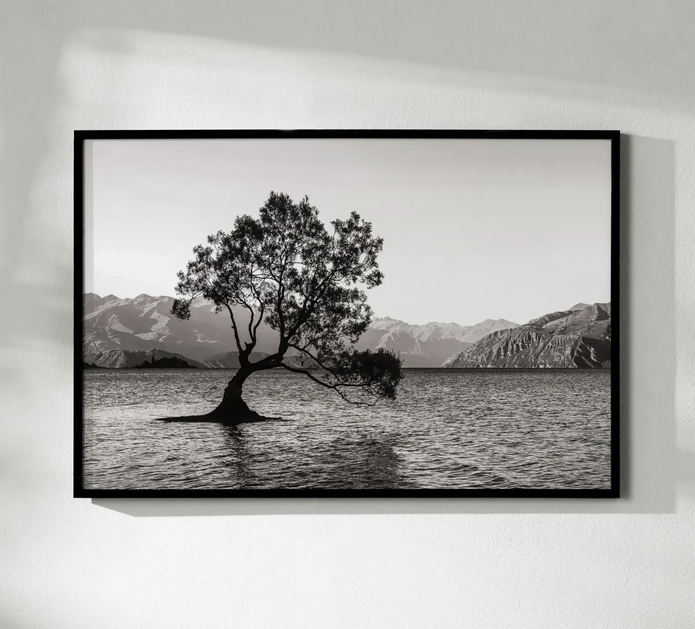 The Wanaka Tree poster da bwphoto