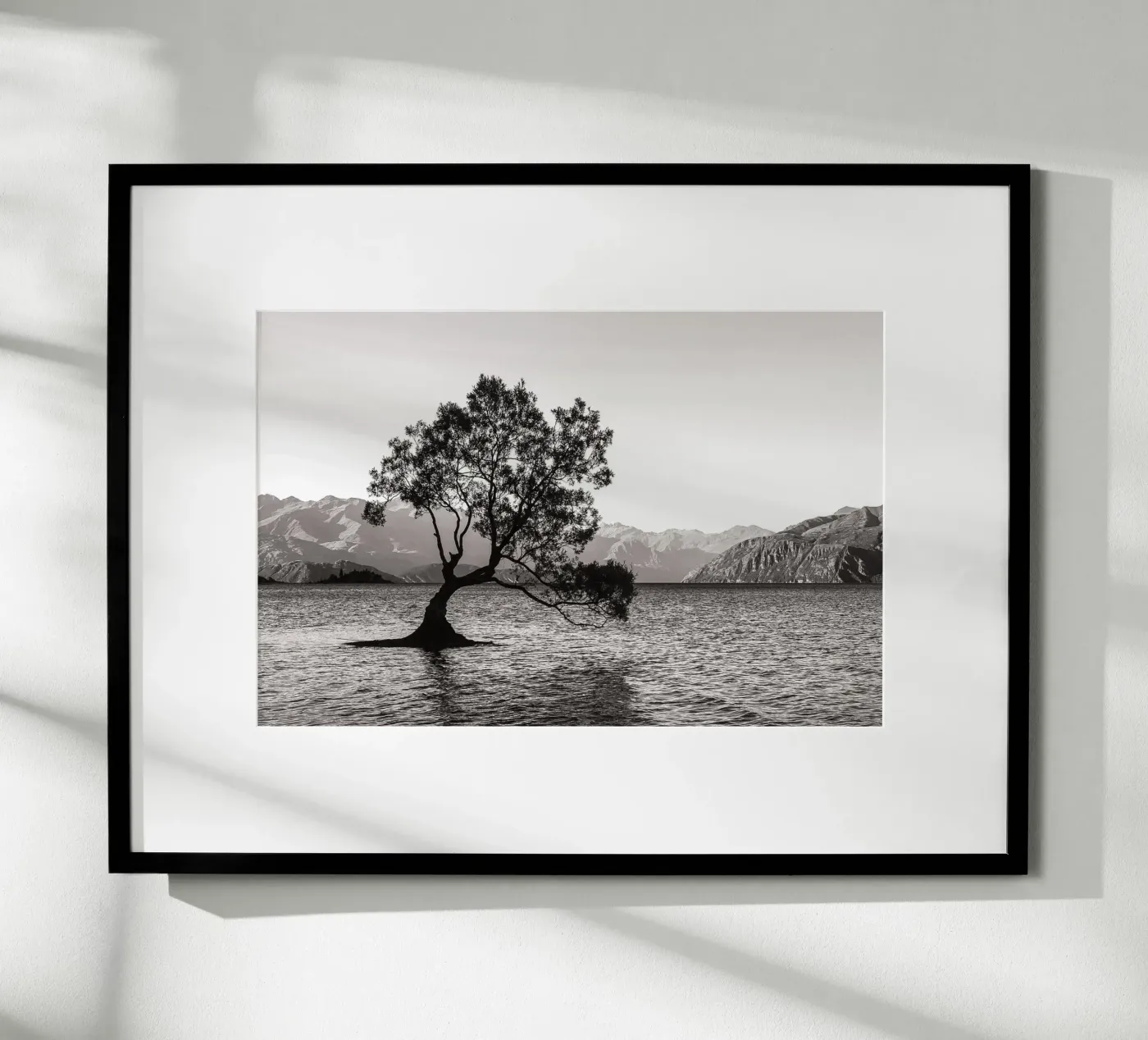 The Wanaka Tree poster da bwphoto