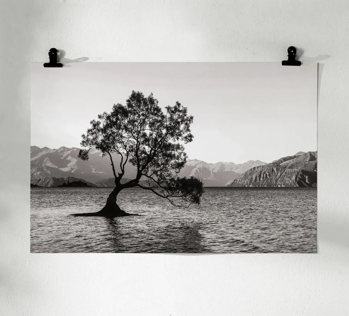 The Wanaka Tree poster da bwphoto