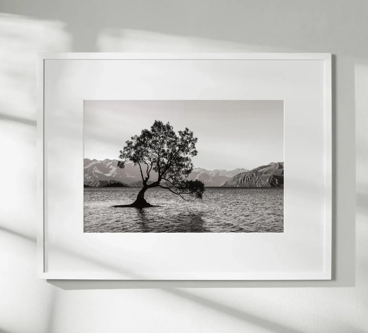 The Wanaka Tree poster da bwphoto