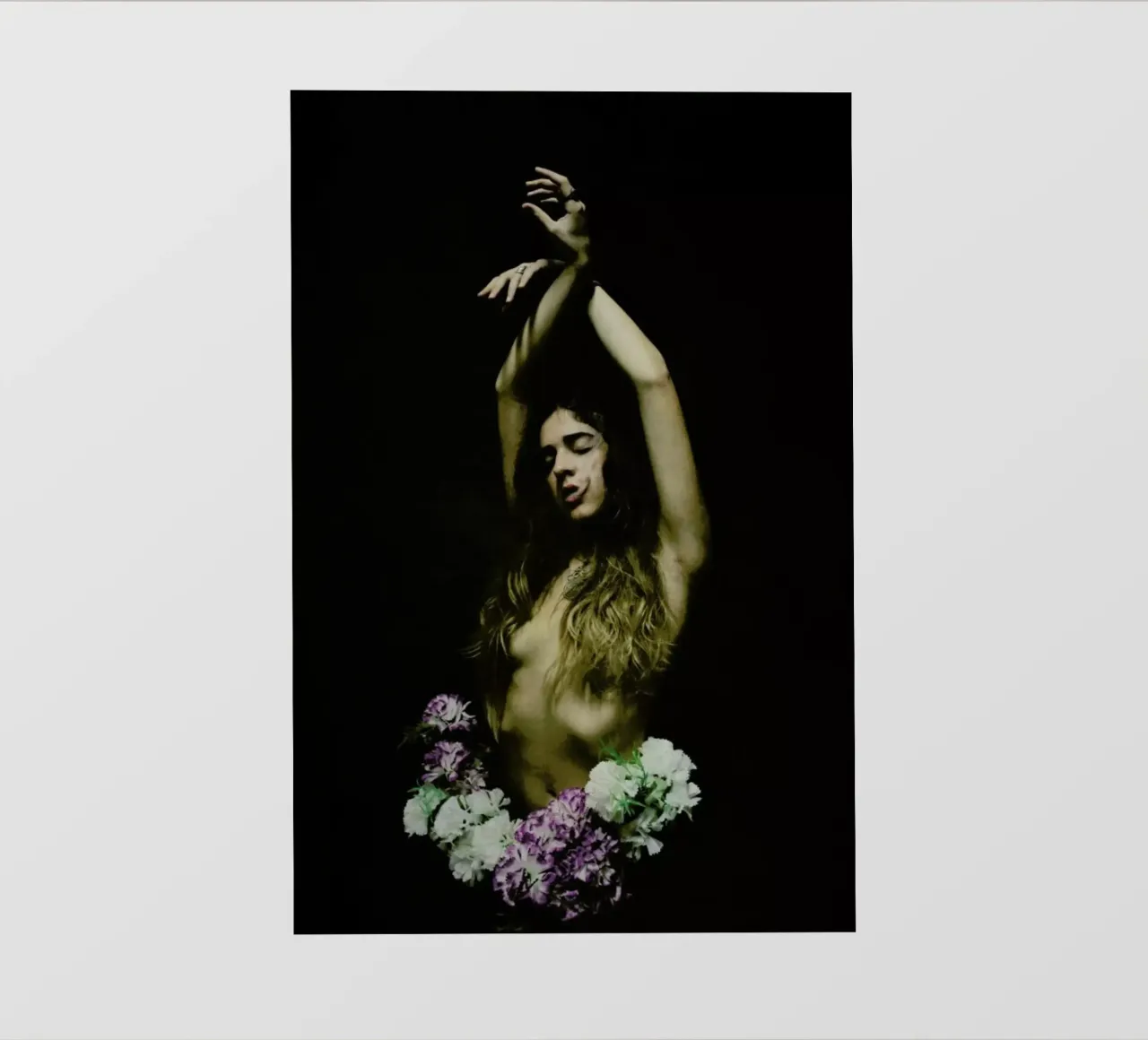 Aspa pellicola backlit da George Griefy