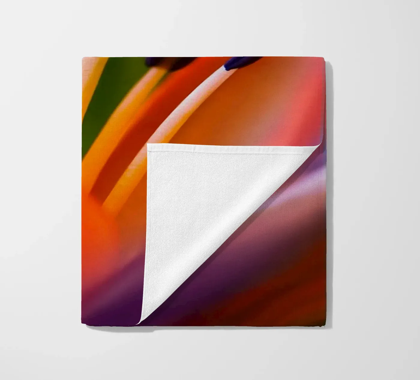 Lilie telo mare da Atteloi