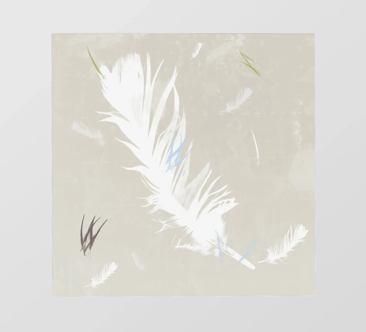 Feather In Your Cap pellicola backlit da Catherine Aguilar