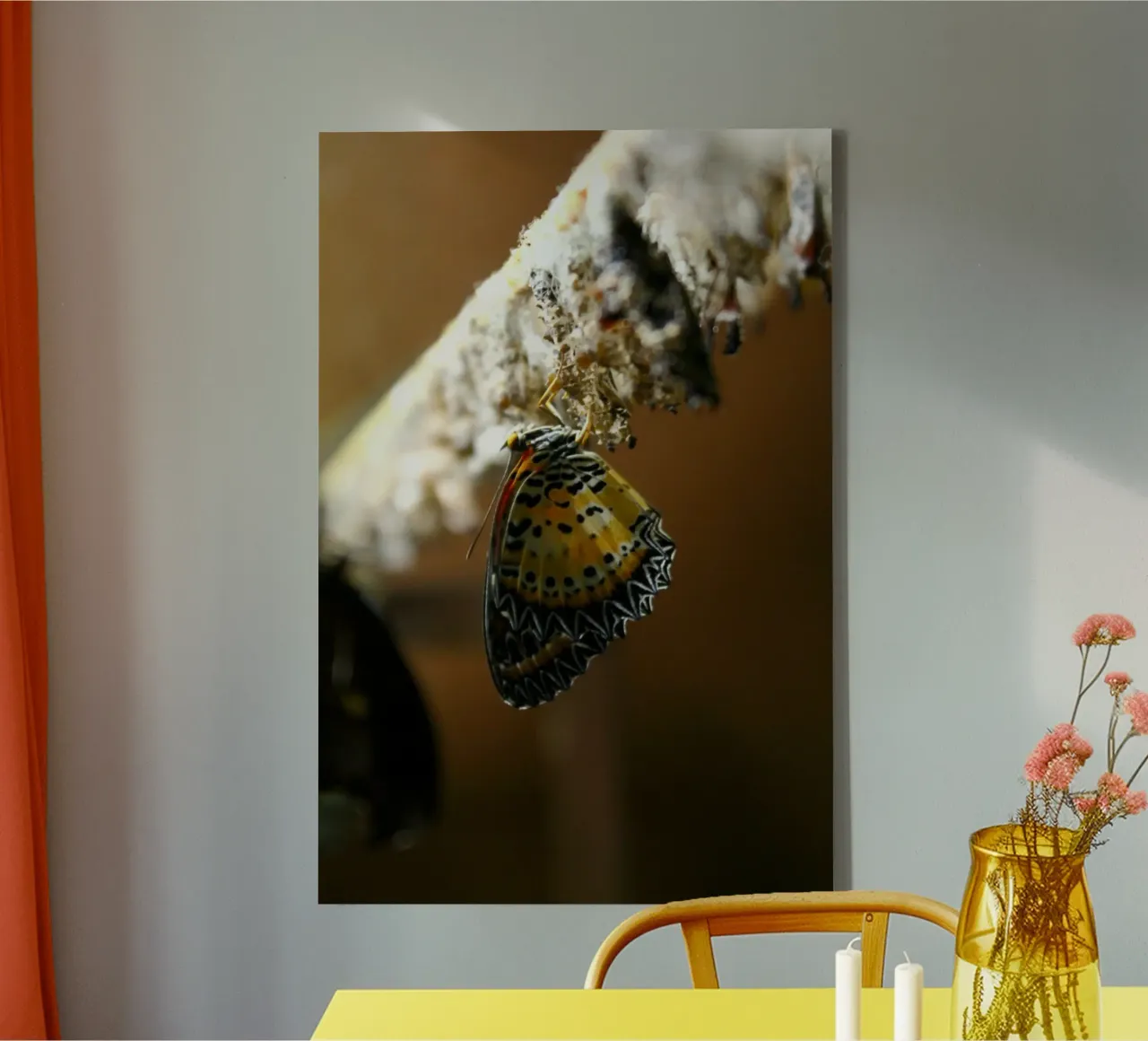 Farfalla tela da Lise Ruault