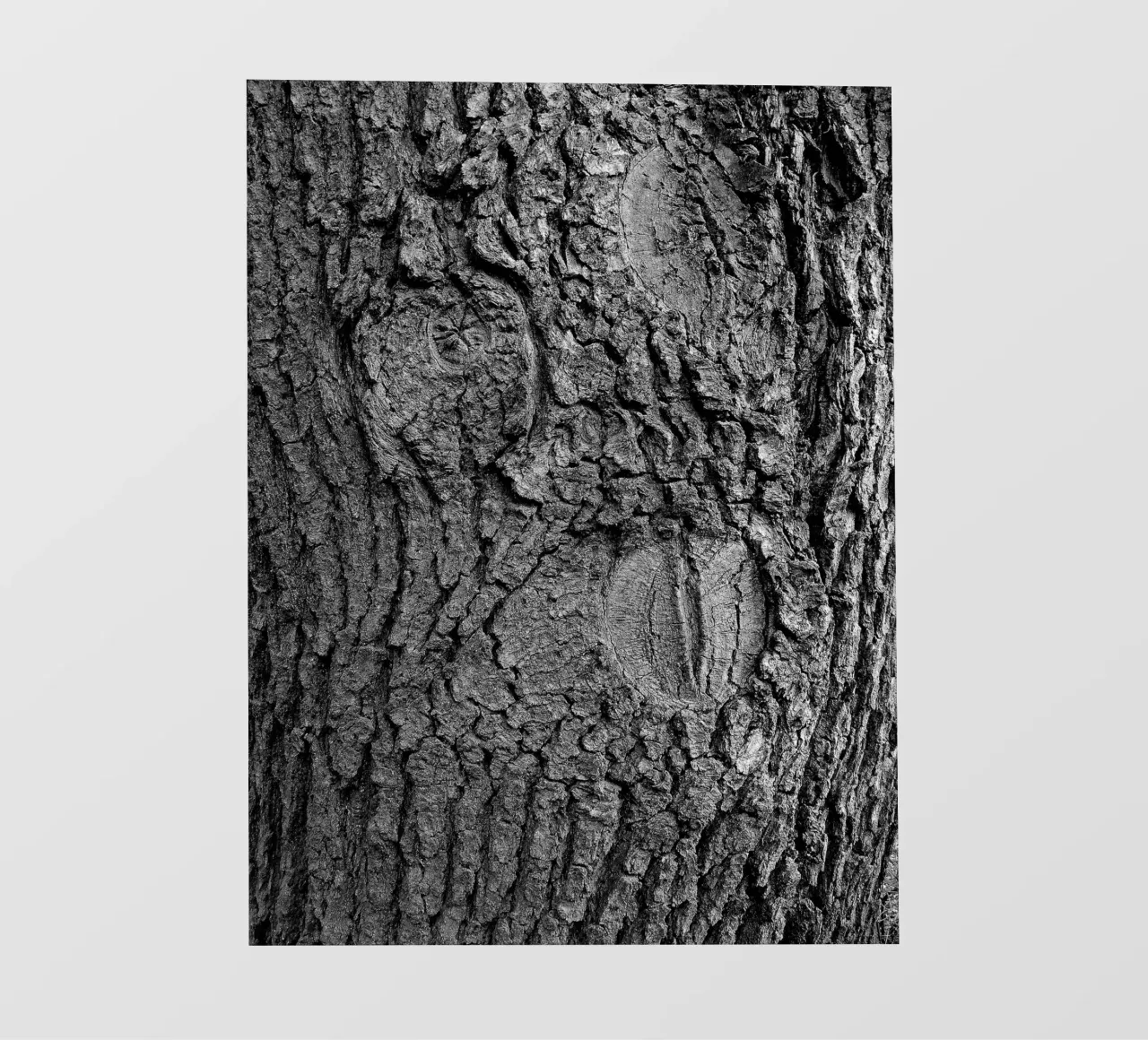 Albero di Jörg Vollstedt telo in pvc da joergvollstedt