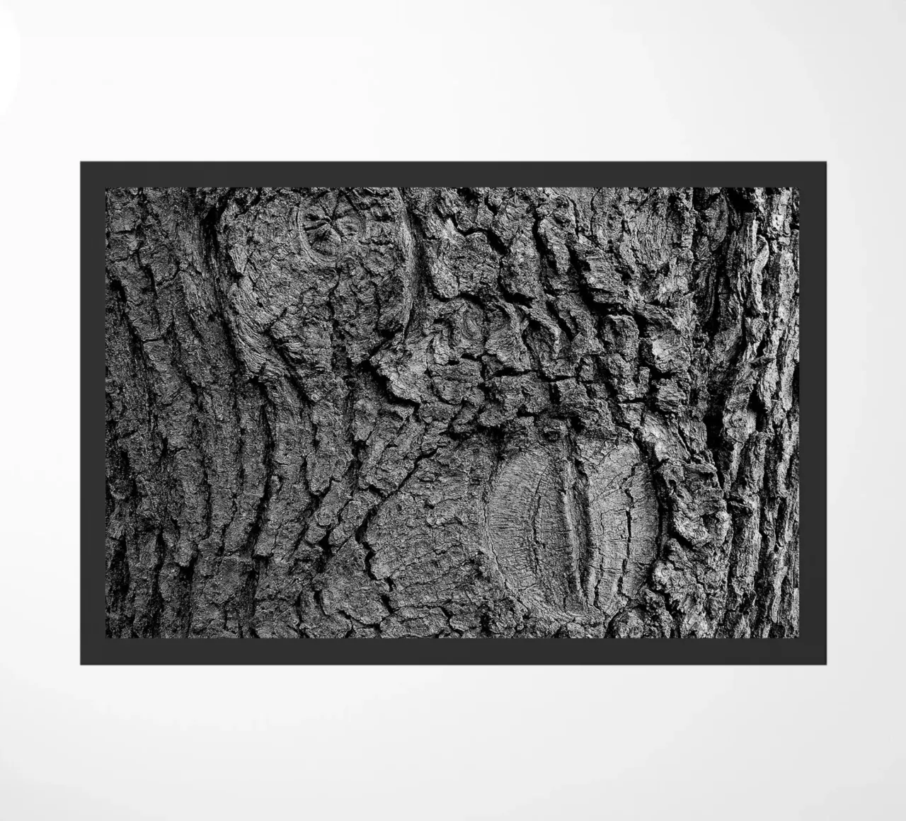 Albero di Jörg Vollstedt zerbino da joergvollstedt