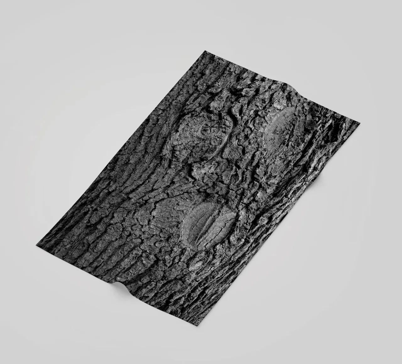 Albero di Jörg Vollstedt telo mare da joergvollstedt