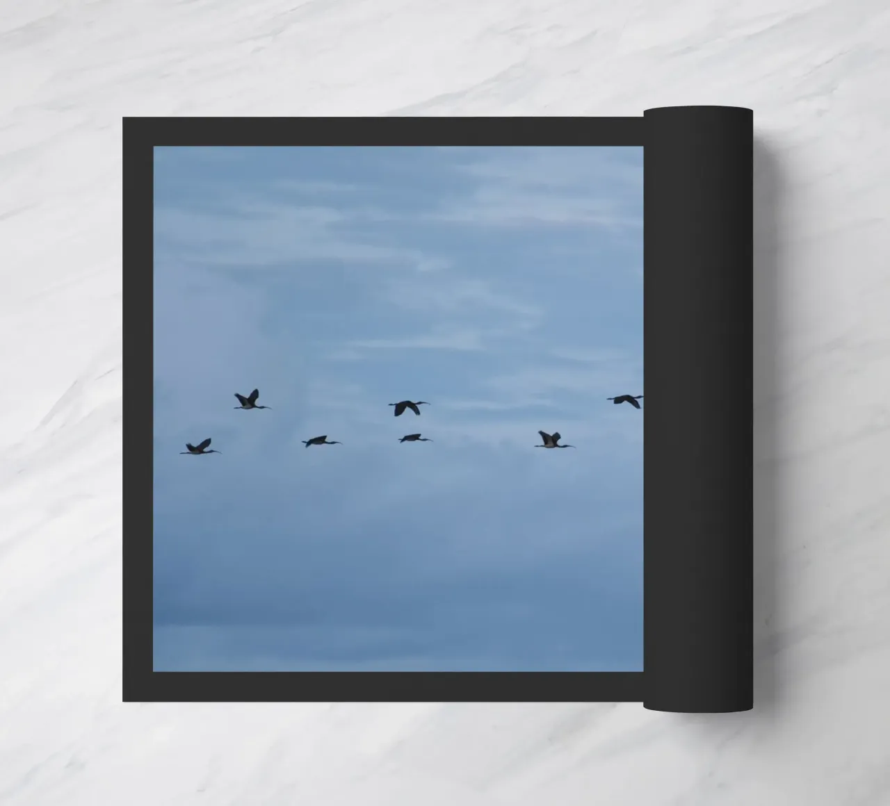 Flying Fußmatte von Carol Maia