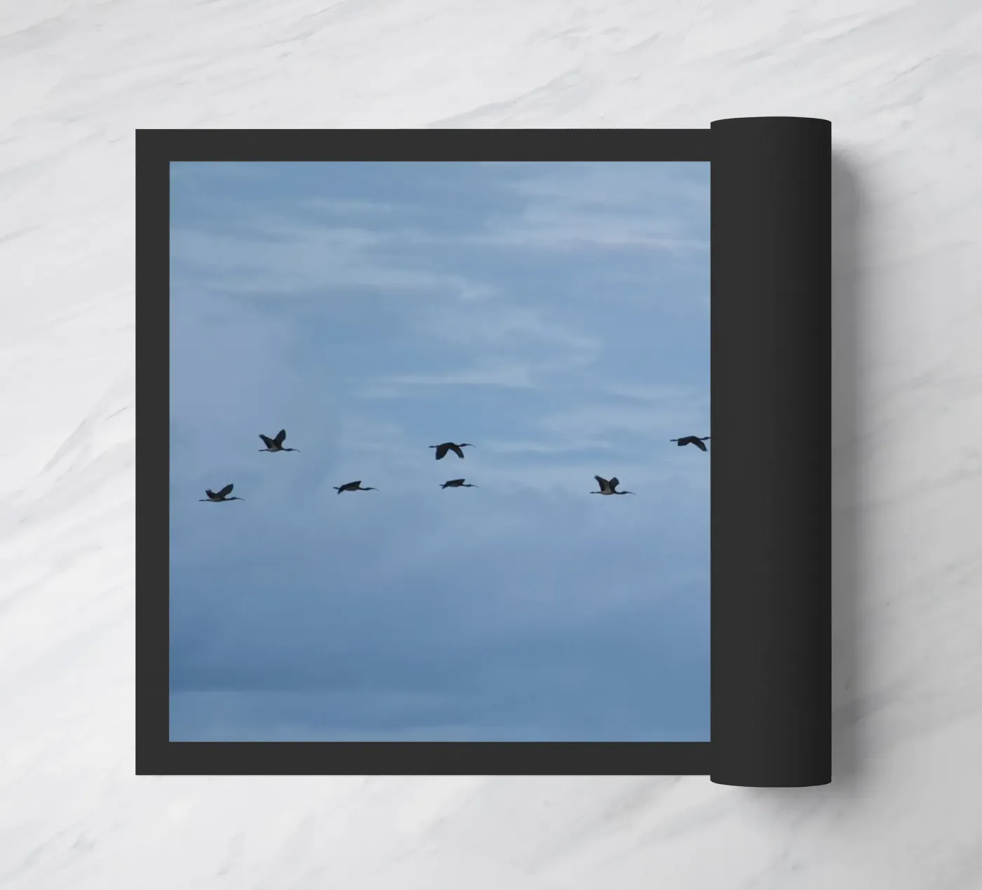 Flying deurmat van Carol Maia