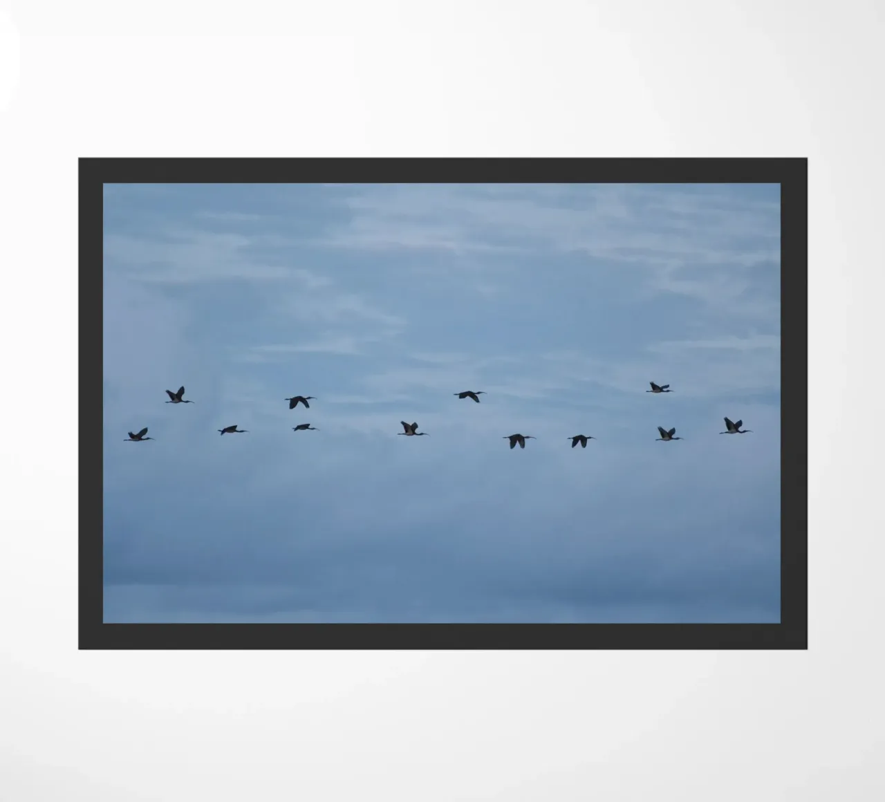 Flying Fußmatte von Carol Maia