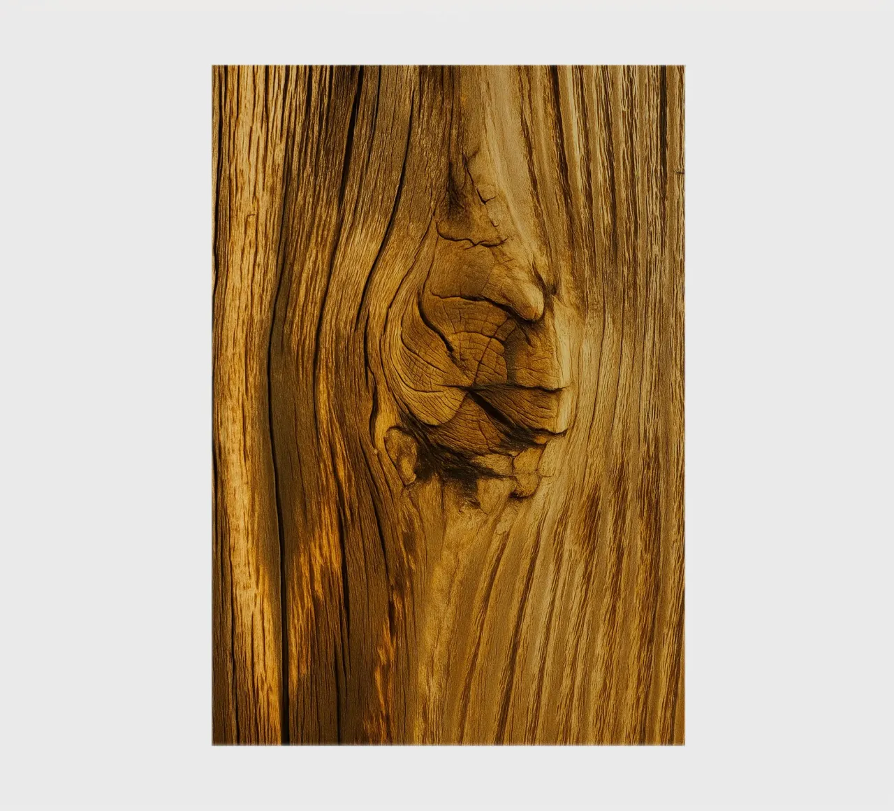 dry tree stump notebook by PASMING