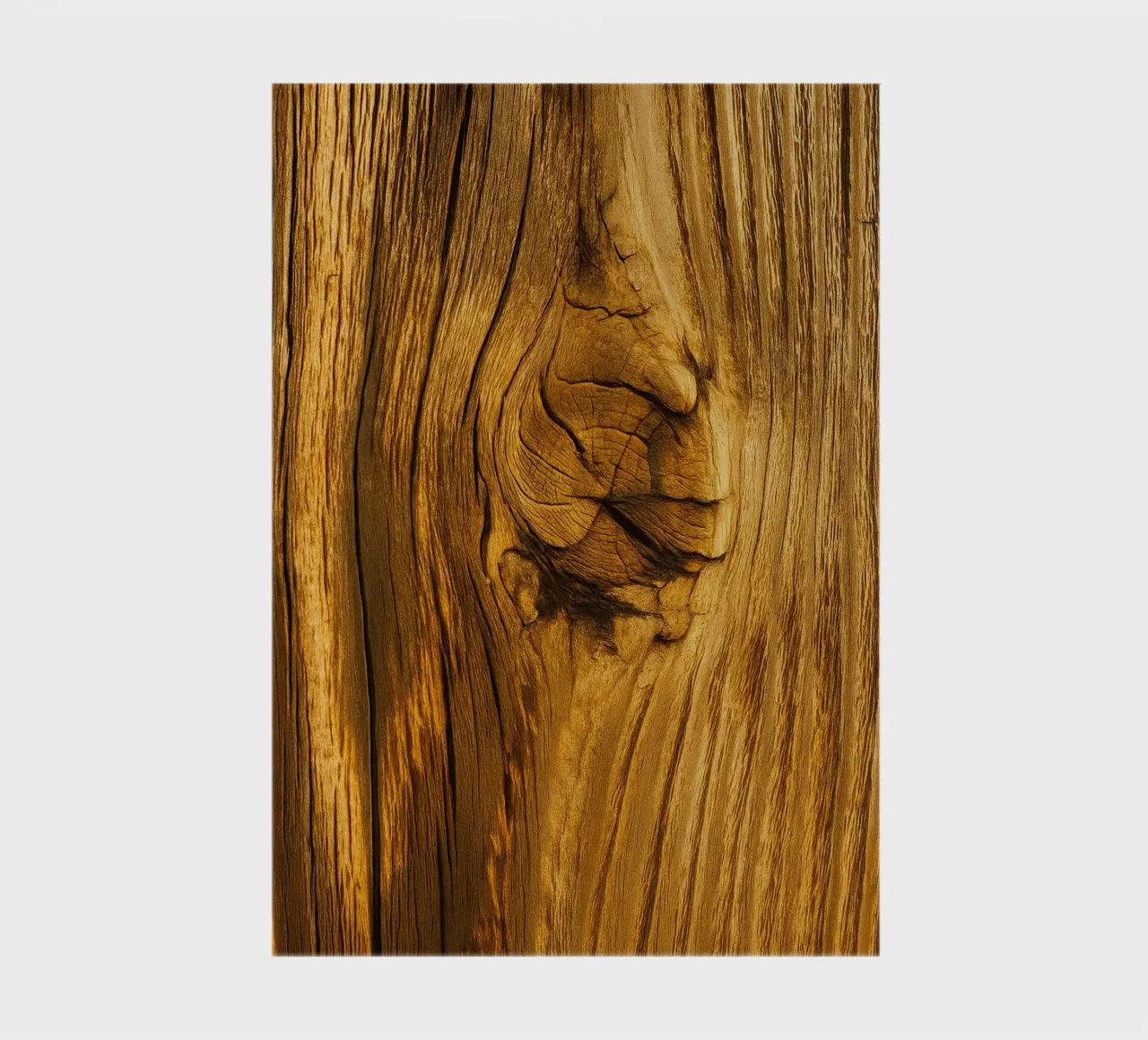 dry tree stump notebook by PASMING