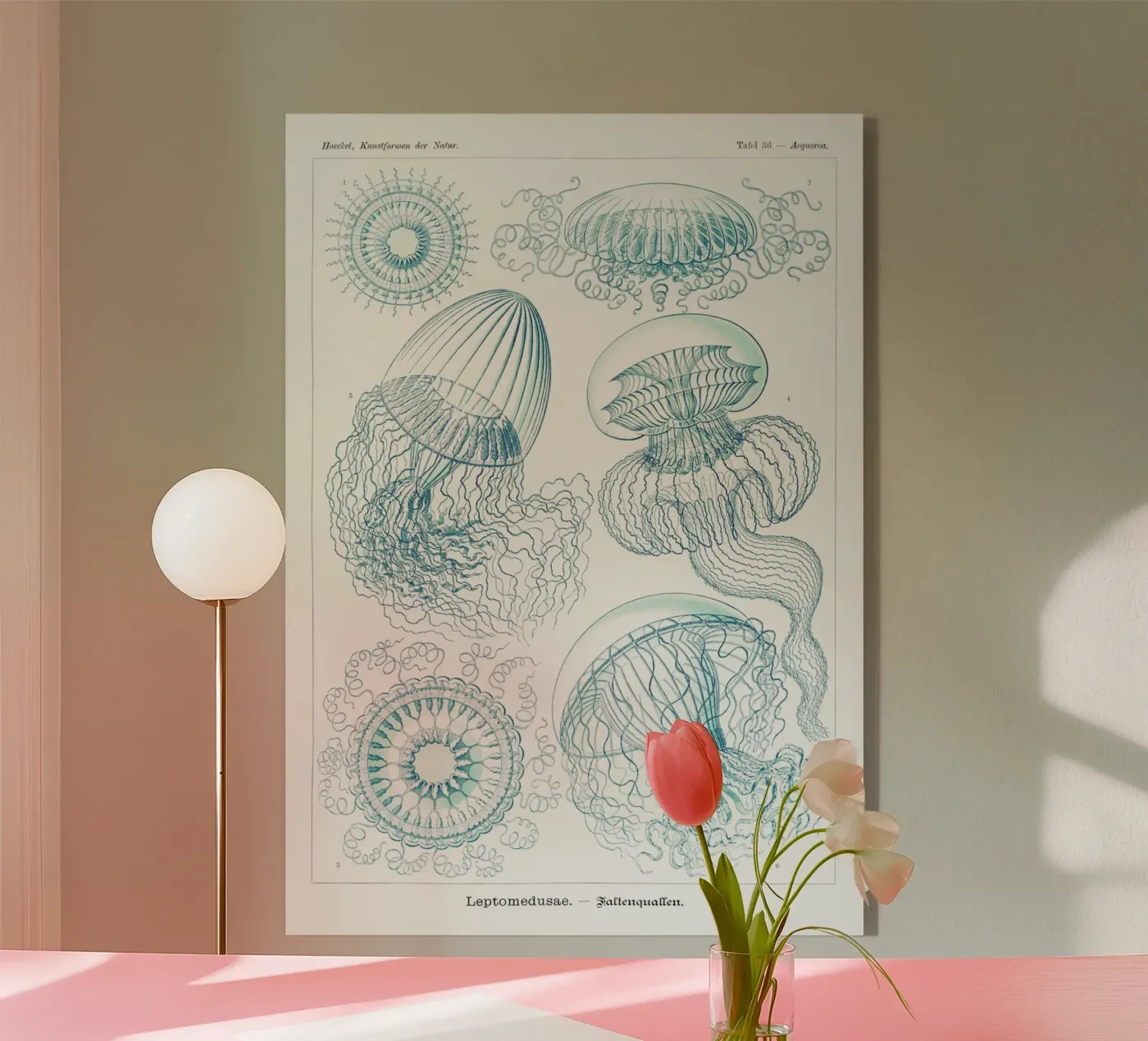 missing jellyfish plexiglas de artshop