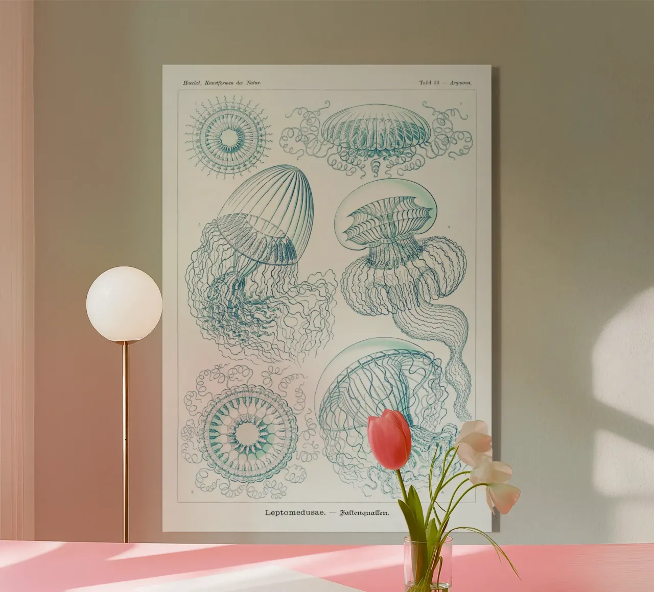 missing jellyfish plexiglass da artshop