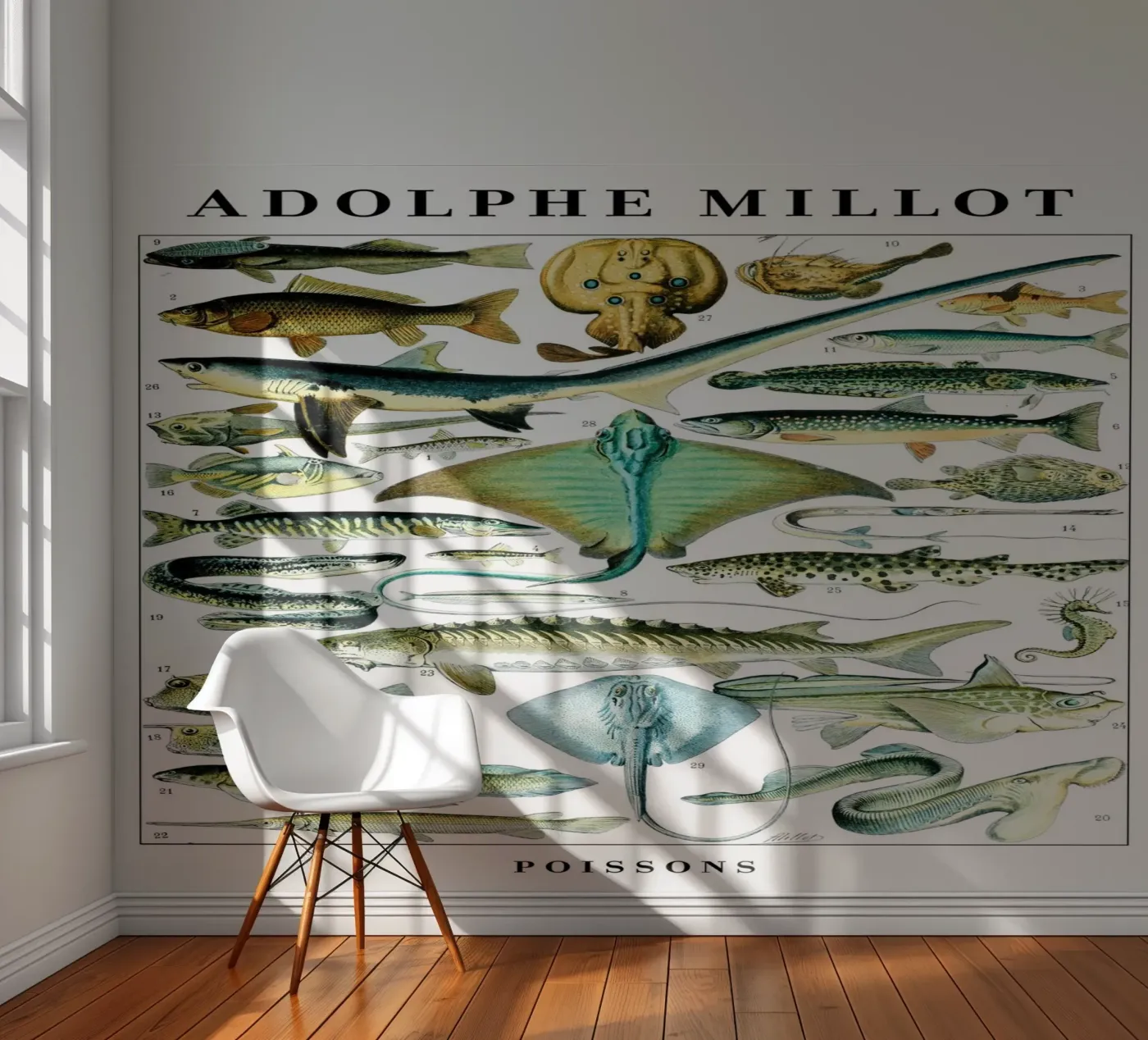 Poissons papier peint photo de Rob Lewis