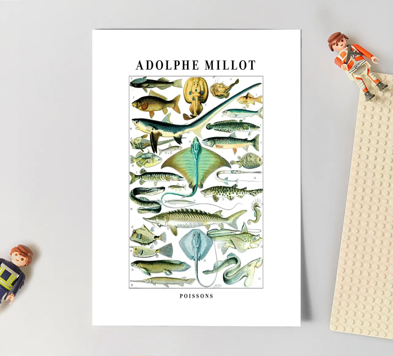 Fish sticker sheet by Rob Lewis