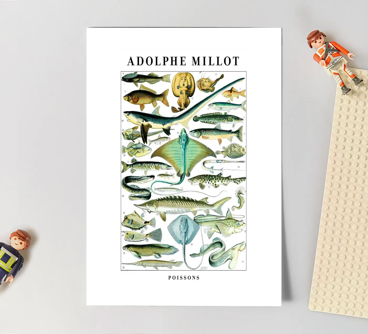 Fish sticker sheet by Rob Lewis