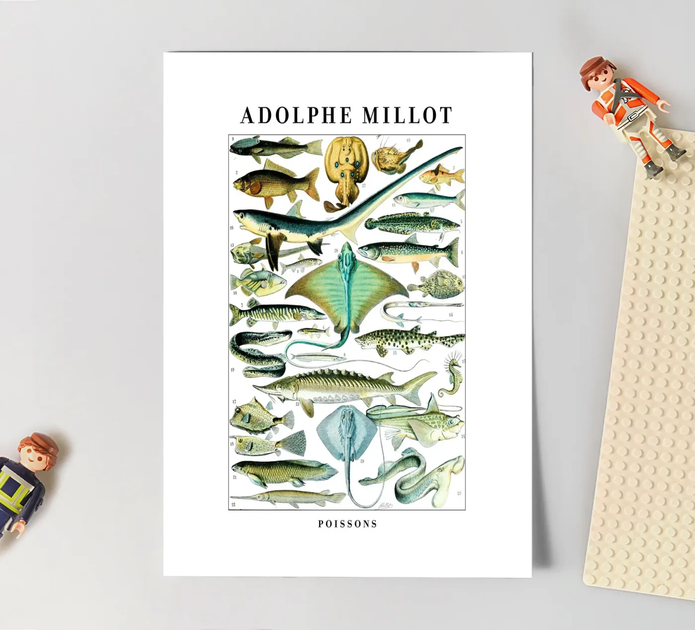 Fish sticker sheet by Rob Lewis