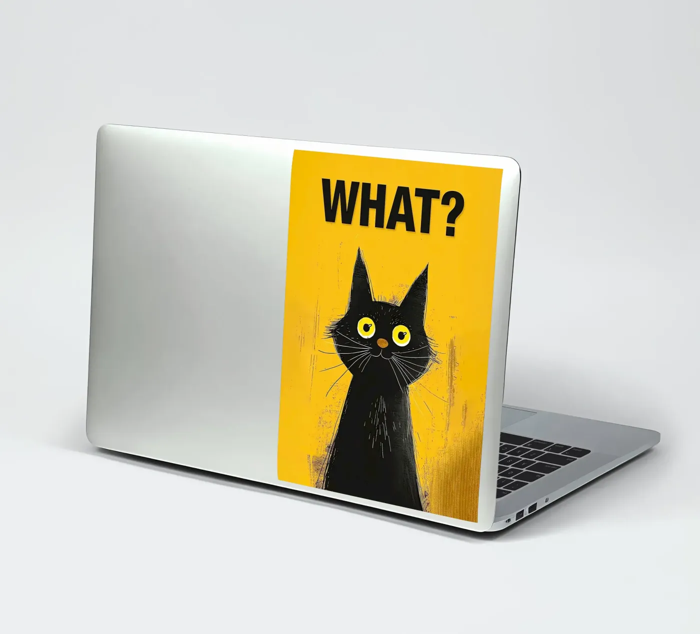 Verwirrtes Kätzchen Sticker von Reece Scott