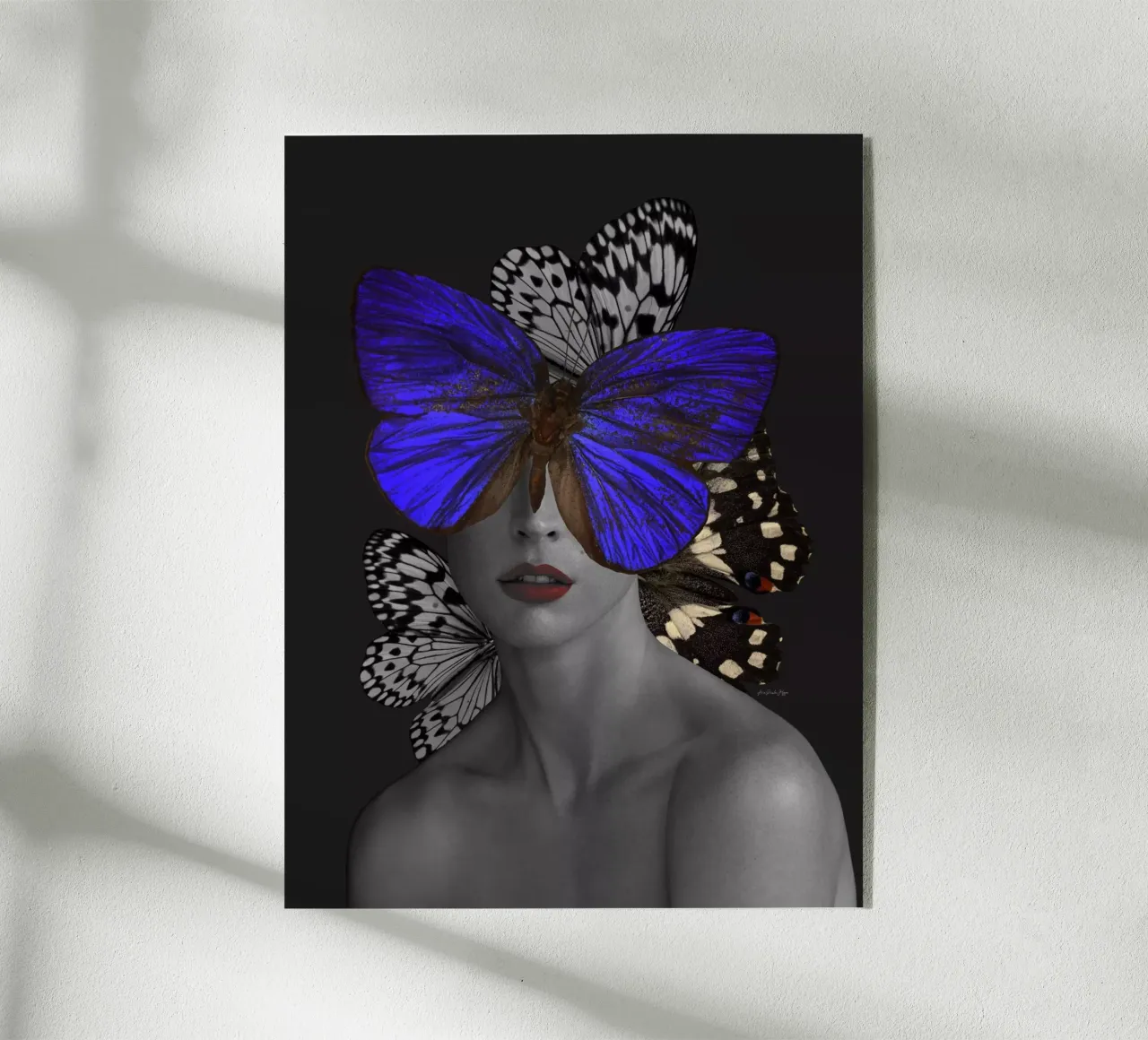 Lauren plexiglass da Ana Paula Hoppe