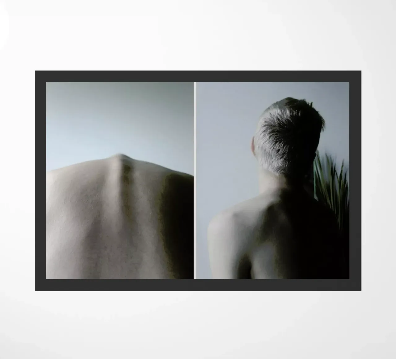 Spine deurmat van George Griefy